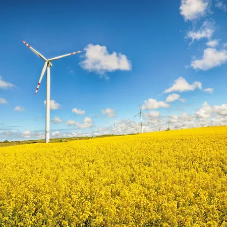 Tranquil Baltic Escape * Zizow