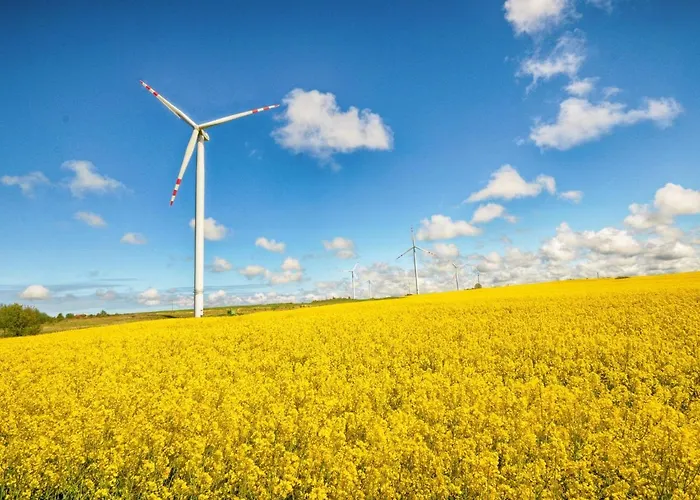 Tranquil Baltic Escape * Zizow